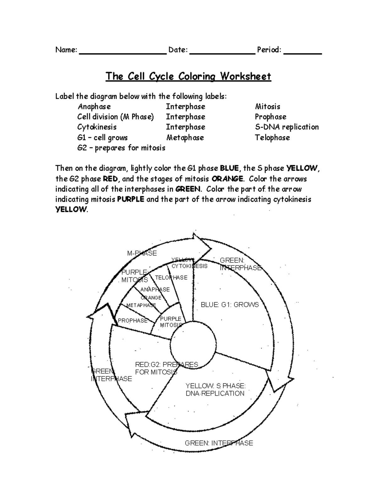 cell cycle answer key