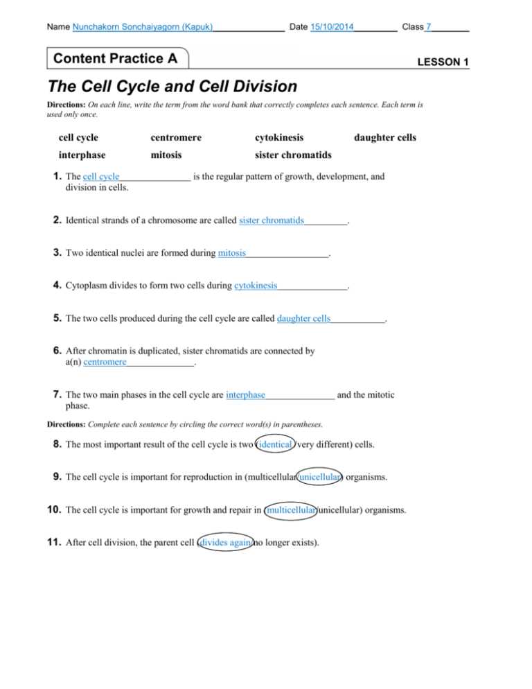 cell cycle worksheet answer key