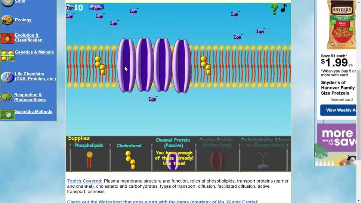 cell defense the plasma membrane worksheet answer key cell defense the plasma membrane worksheet answer key