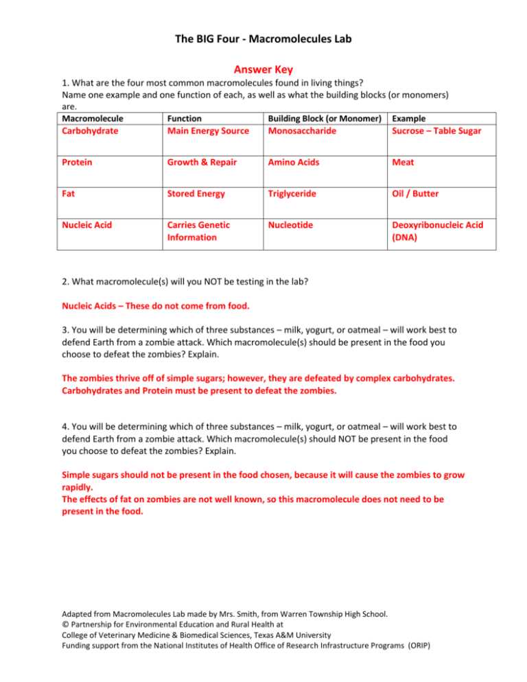 cell defense worksheet doc answer key