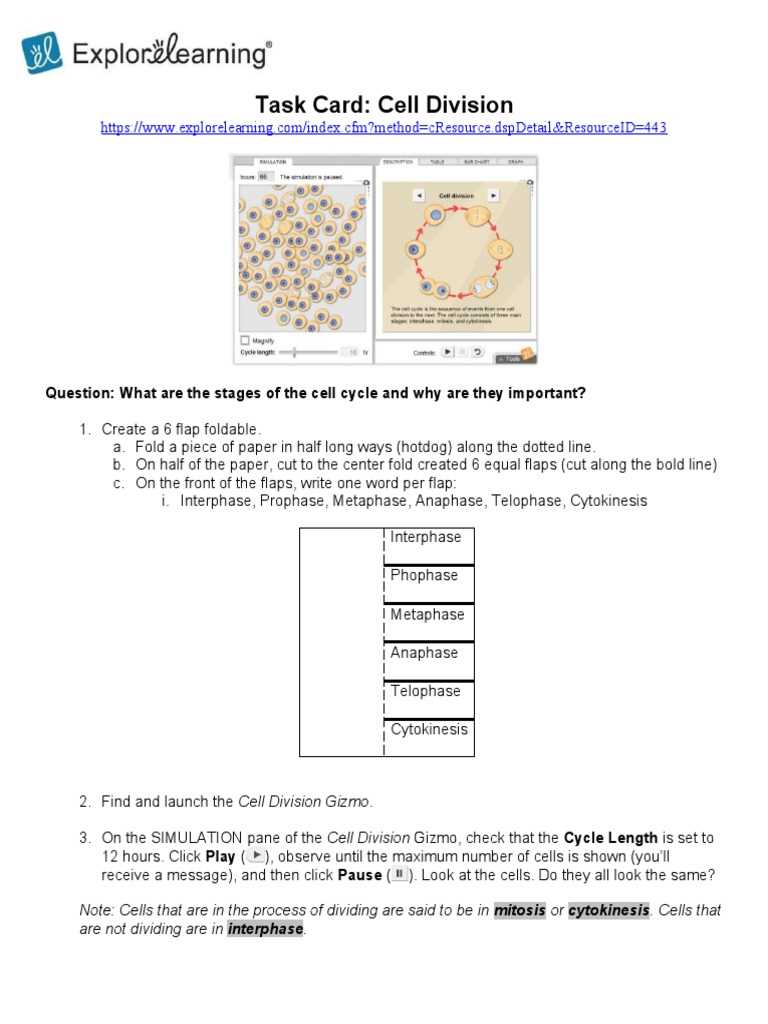 cell division gizmo answer key page 3