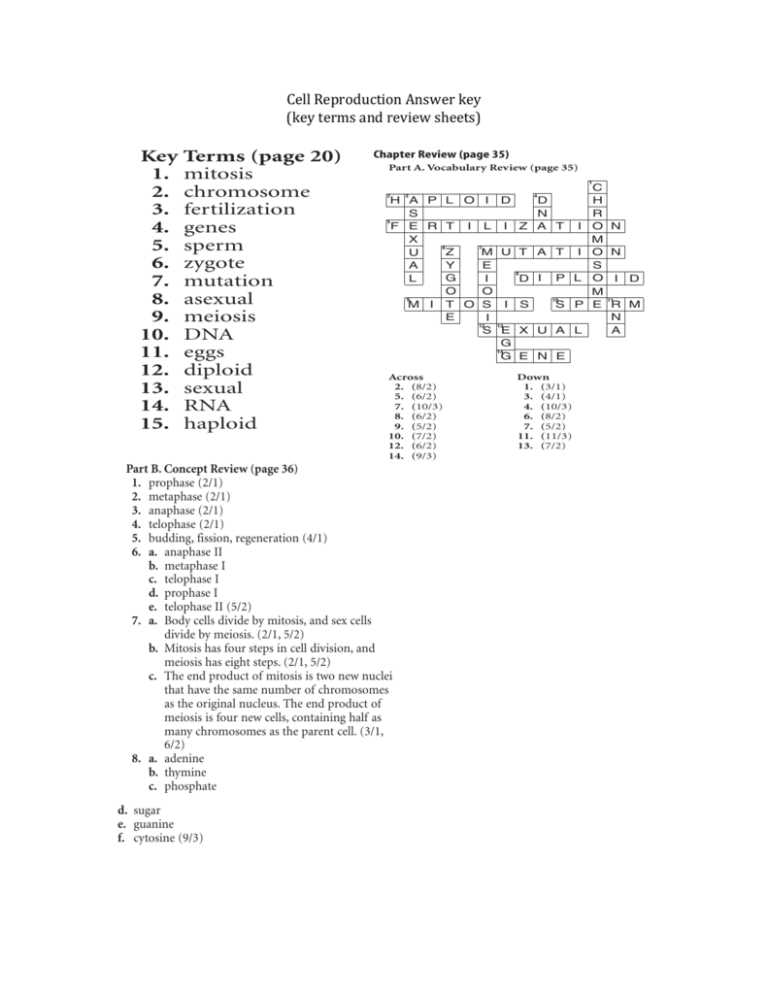 cell division review packet with wordsearch answer key