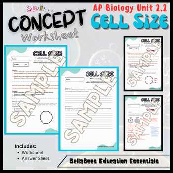 cell size comparison worksheet answer key
