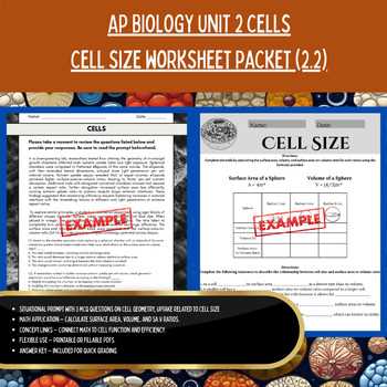 cell size comparison worksheet answer key