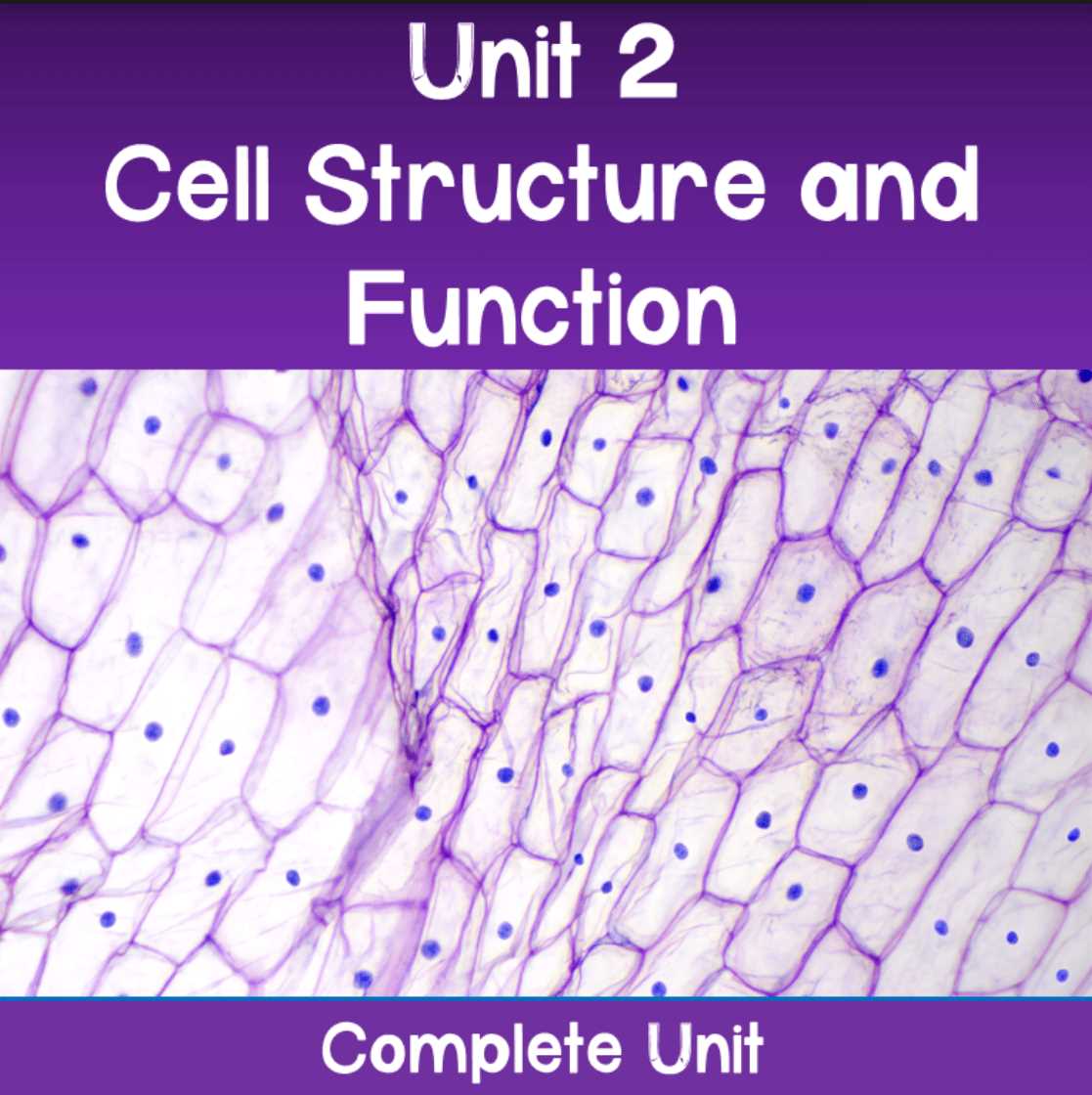 cell structure and function lab answer key