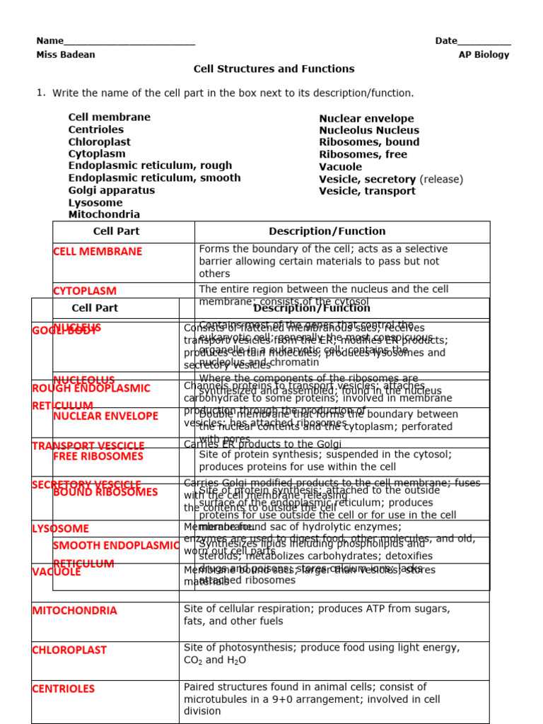 cell structure and function lab answer key