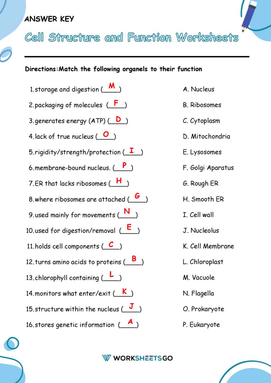 cell structure and function worksheet answers key