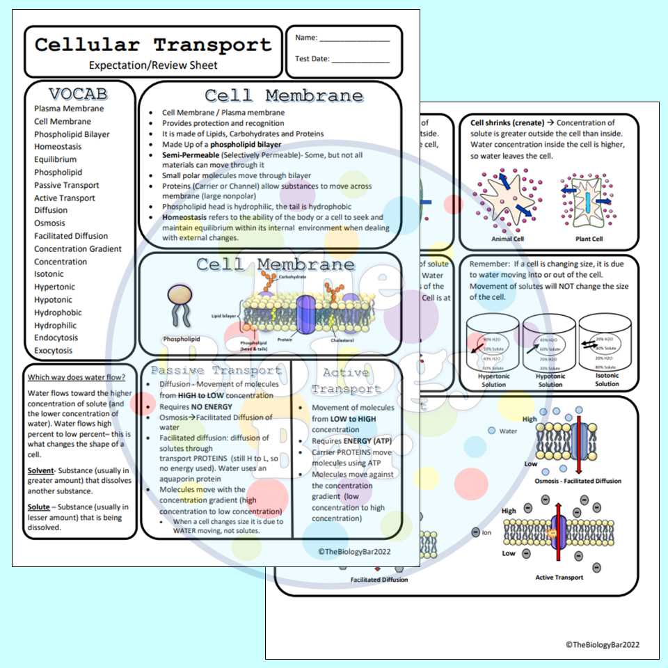 cell transport reading and questions answer key