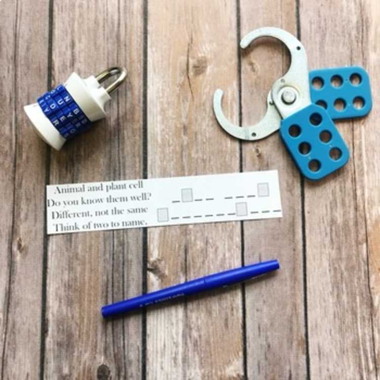cells escape room digital locks answer key