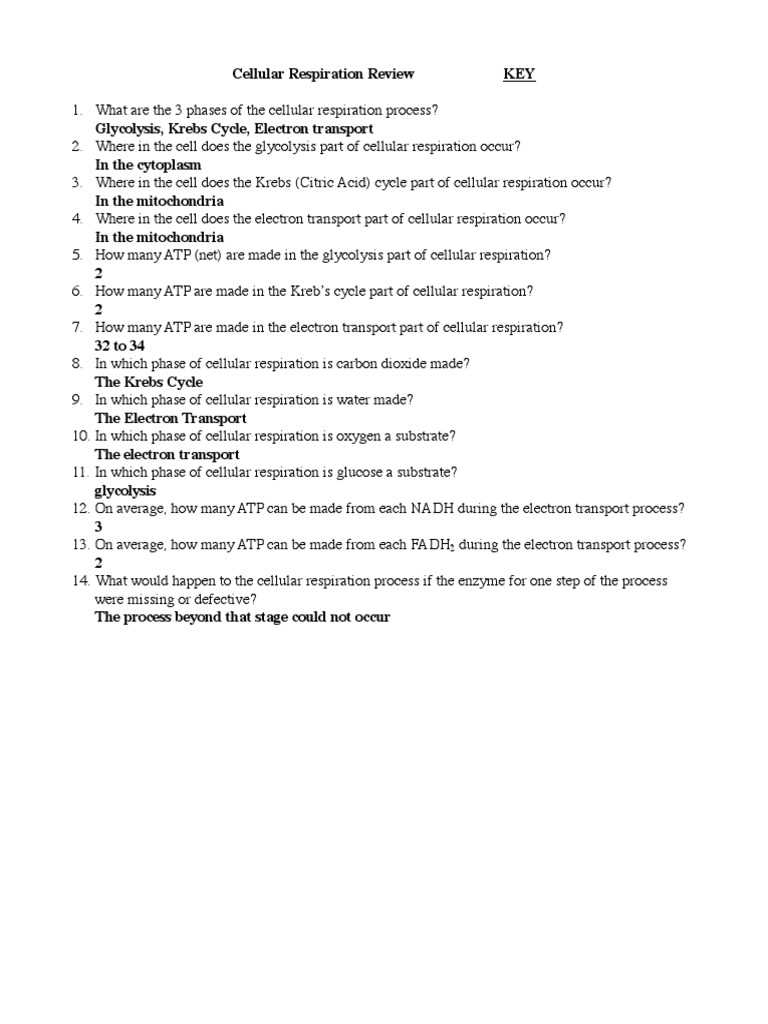 cellular respiration overview worksheet chapter 7 answer key