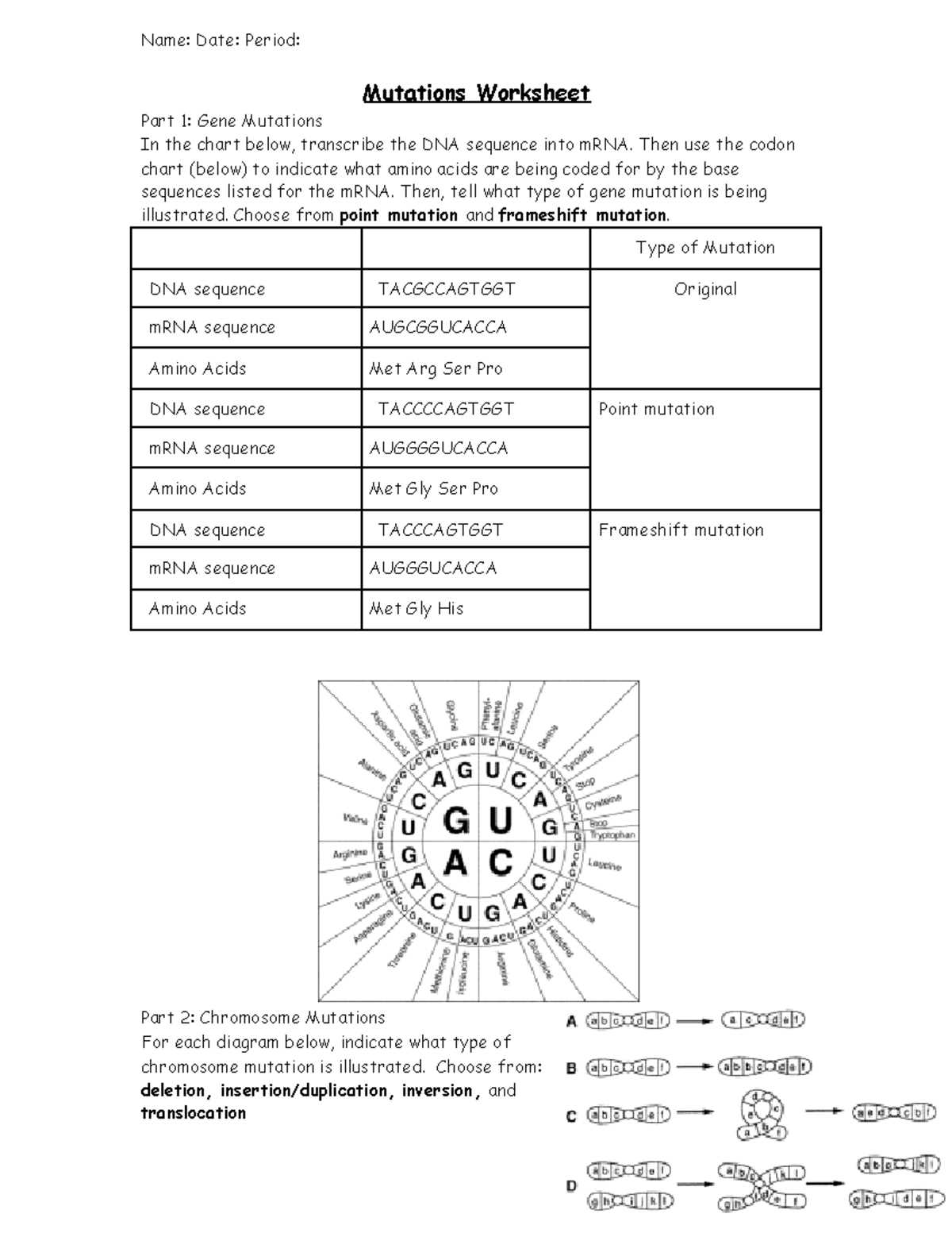 chapter 12 4 mutations answer key