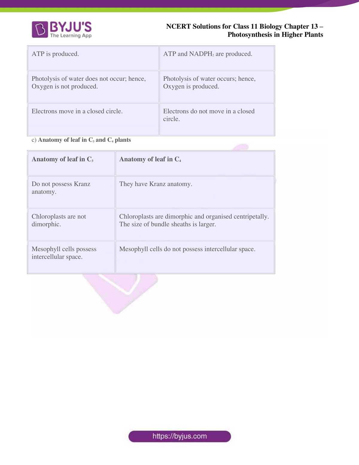 chapter 13 biology test answer key
