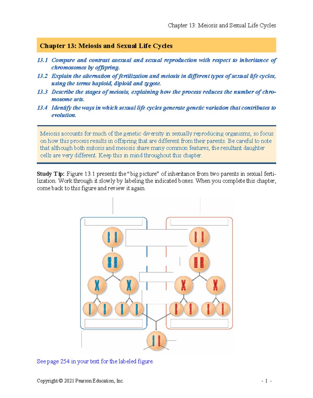 chapter 13 biology test answer key