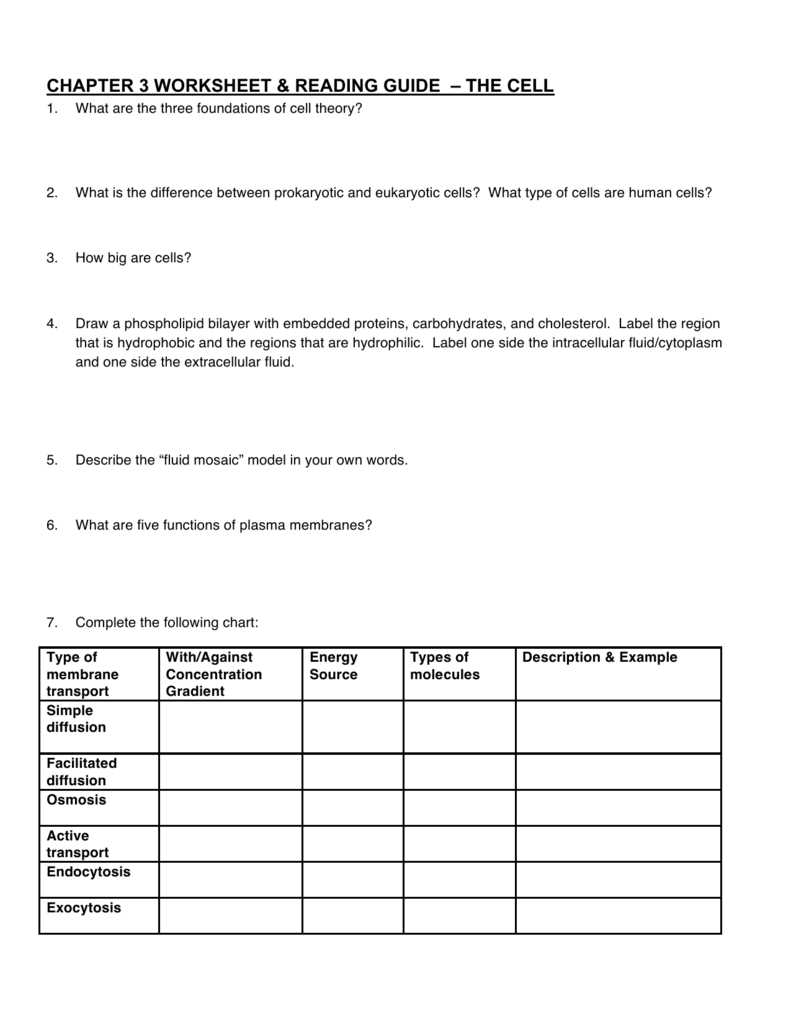 chapter 3 cells answer key