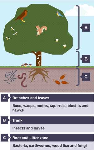 chapter 4 ecosystems and communities test b answer key chapter 4 ecosystems and communities test b answer key