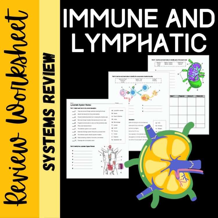 chapter 6 the lymphatic and immune systems answer key