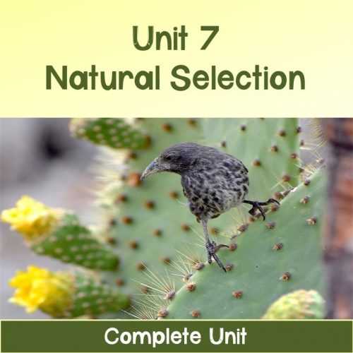 chapter 7 section 3 natural selection answer key