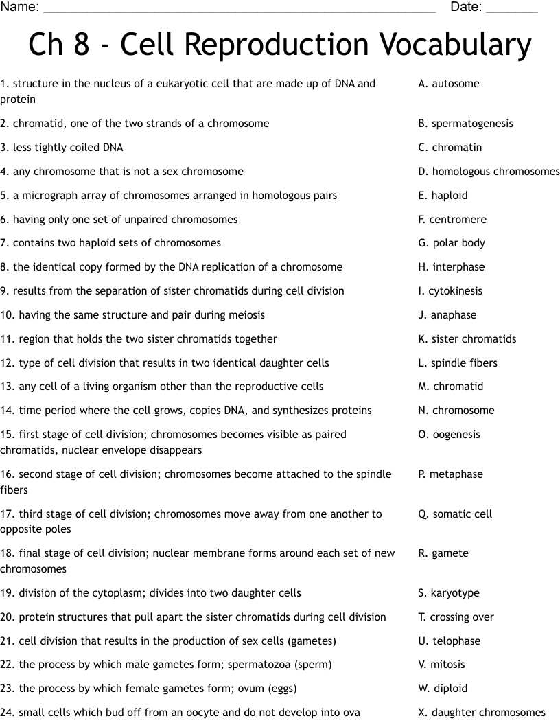 chapter 8 vocabulary practice answer key