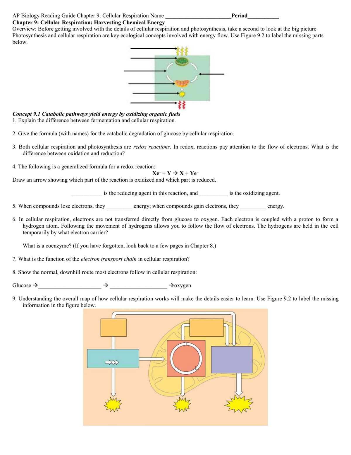 chapter 9 cellular respiration and fermentation reading guide answer key