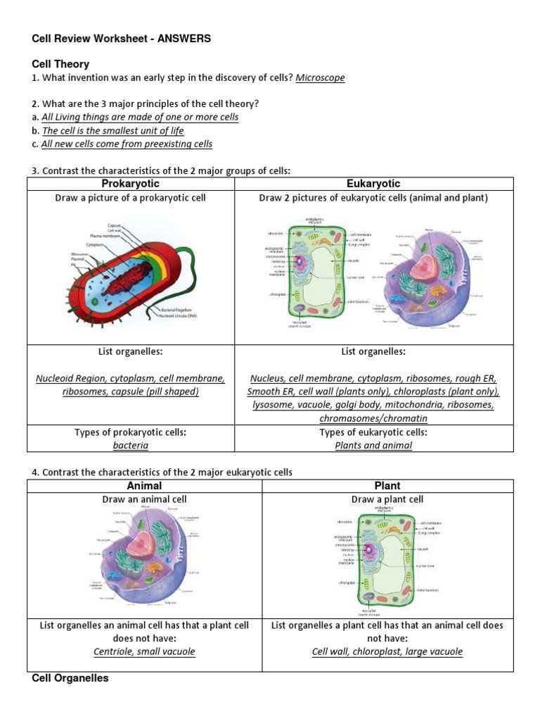 chapter review cells part a vocabulary review answer key