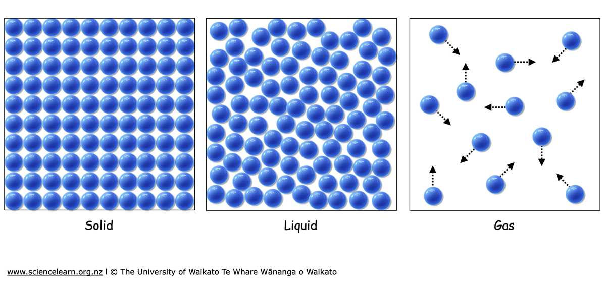 chemistry states of matter word search answer key