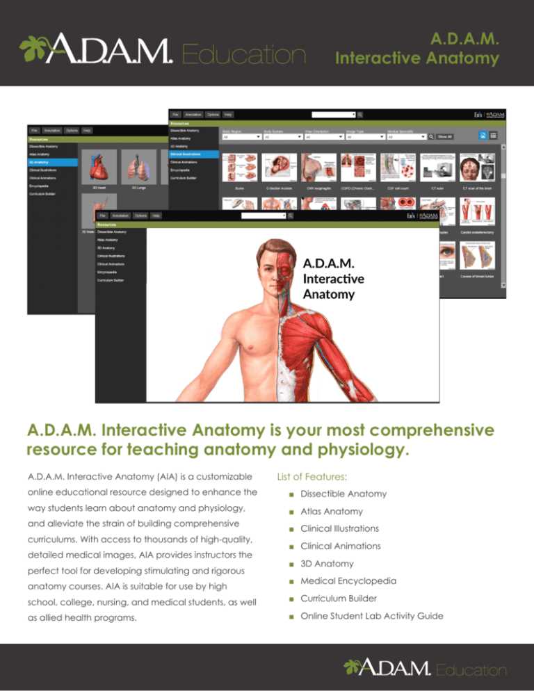 adam interactive anatomy student lab guide answer key