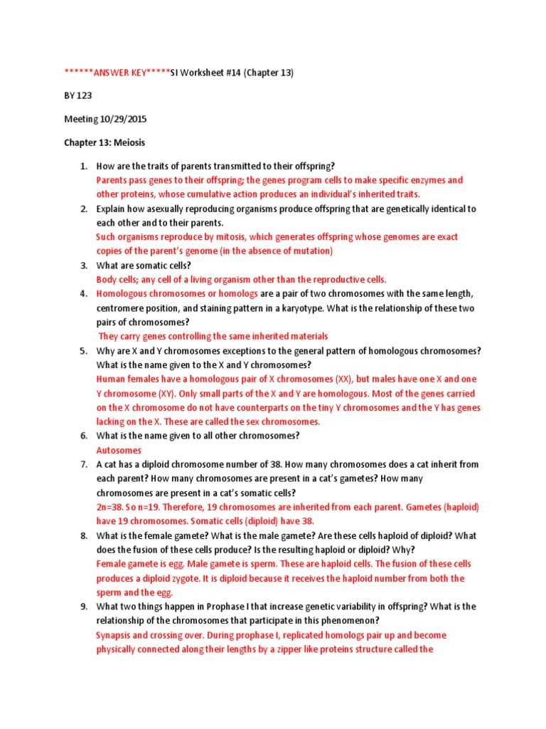 chromosome number worksheet answer key chromosome number worksheet answer key
