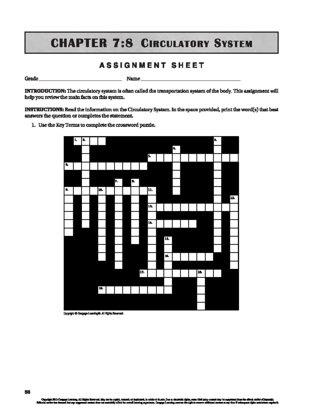 circulatory system worksheet answers key