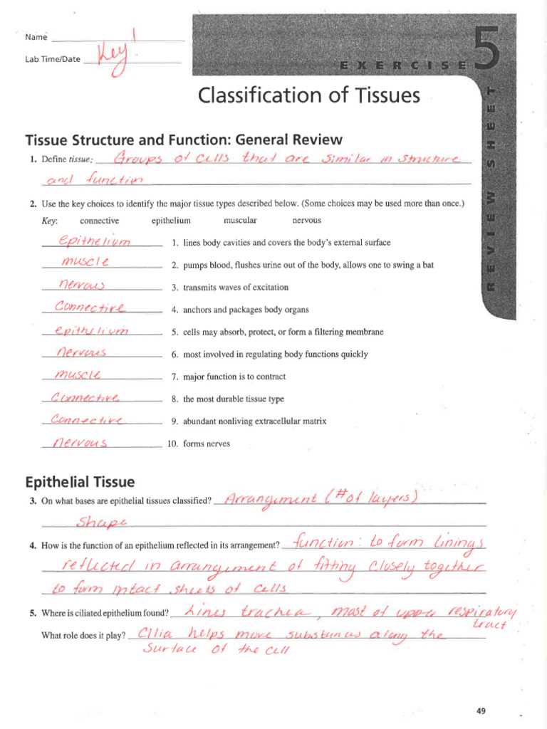 classification of tissues review sheet exercise 5 answer key