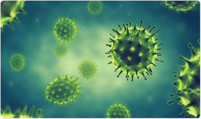 chapter 21 viruses and monerans study guide answer key