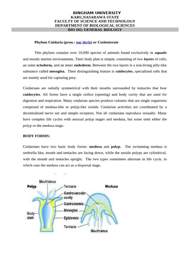 cnidaria and ctenophora section 33 2 review answer key