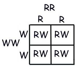 codominance problems answer key