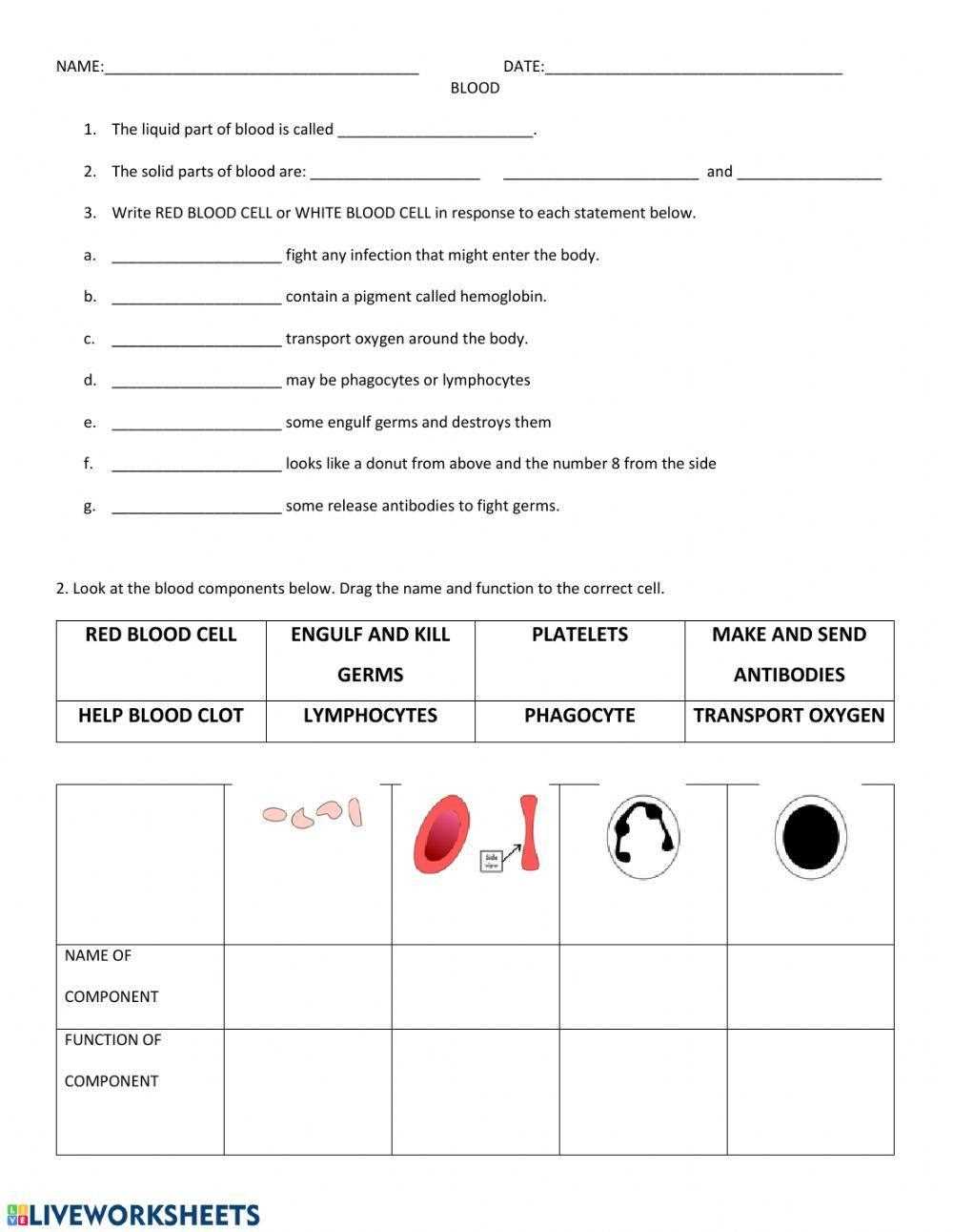 components of blood answer key components of blood answer key