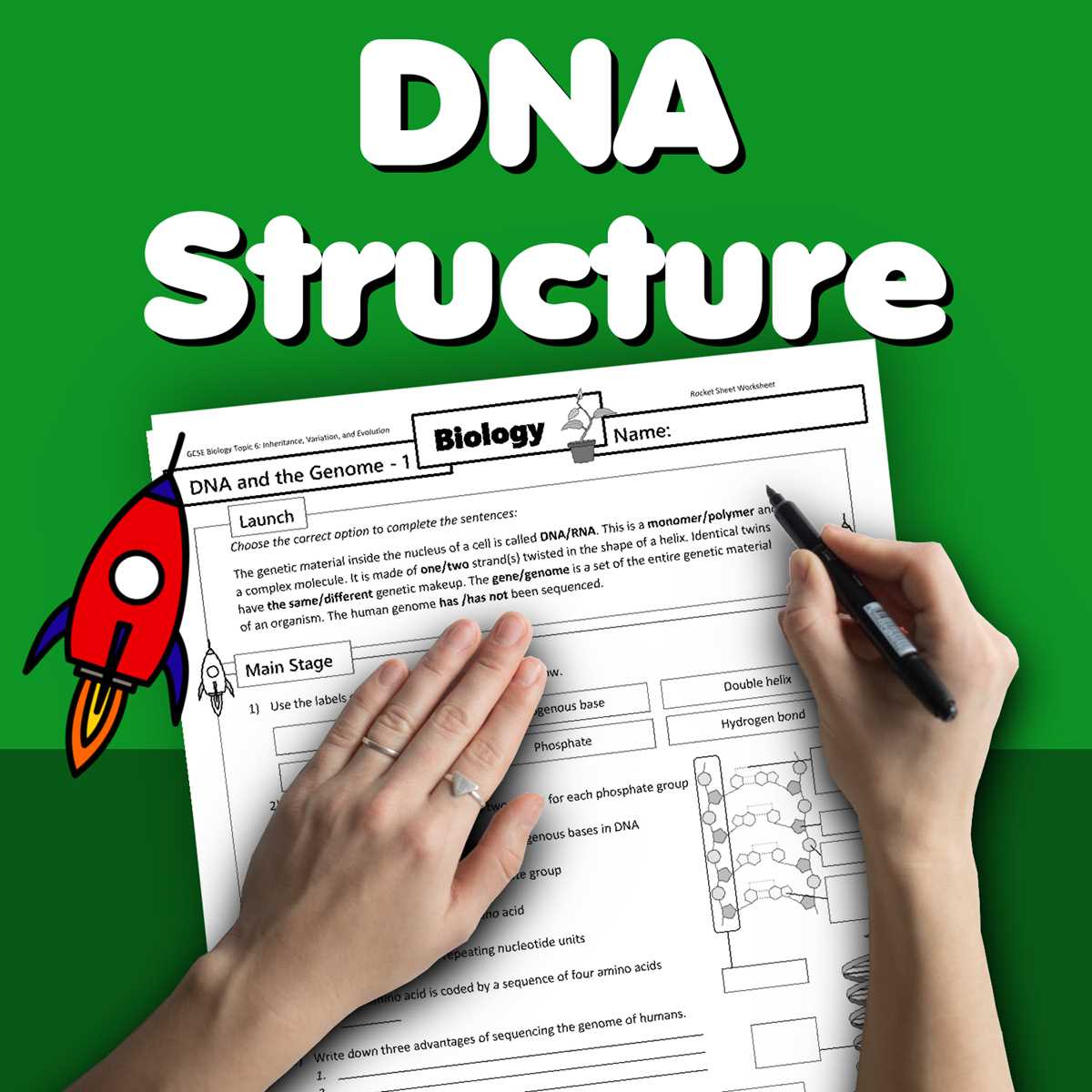 concept covered dna structure answer key