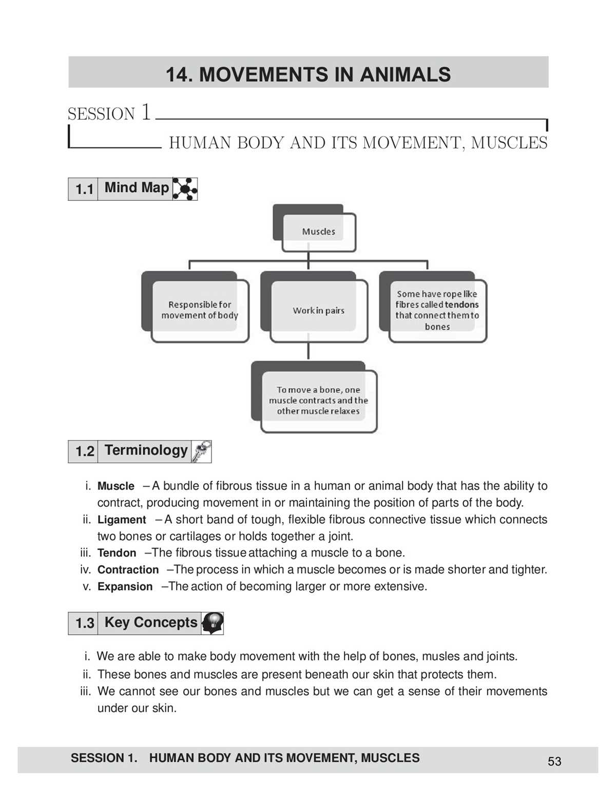 concept map skeletal system answer key