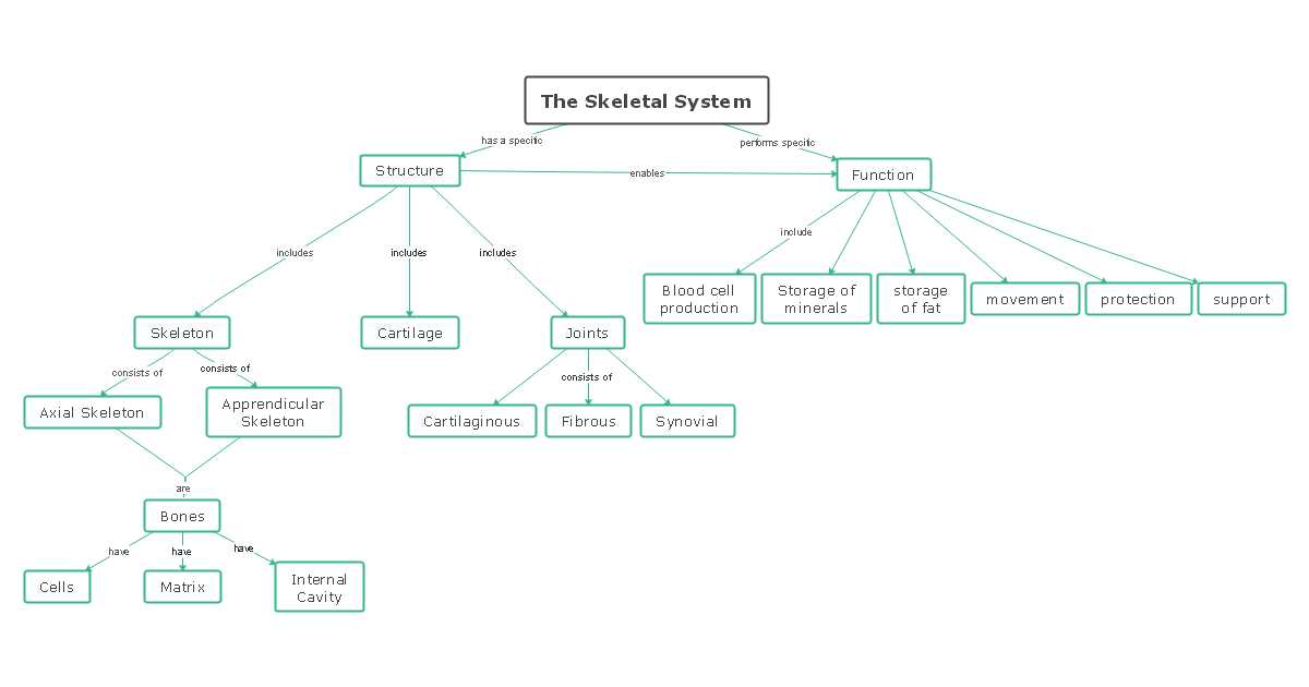 concept map skeletal system answer key