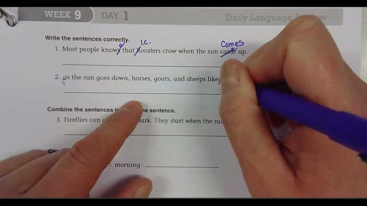 daily language review grade 7 answer key week 1