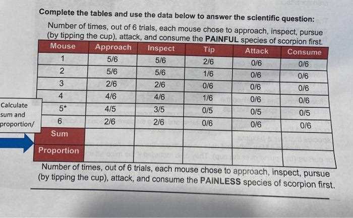 data nugget answer keys