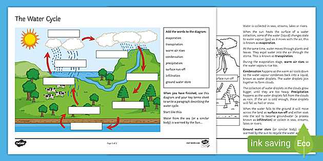 chapter 11 9 the water cycle answer key