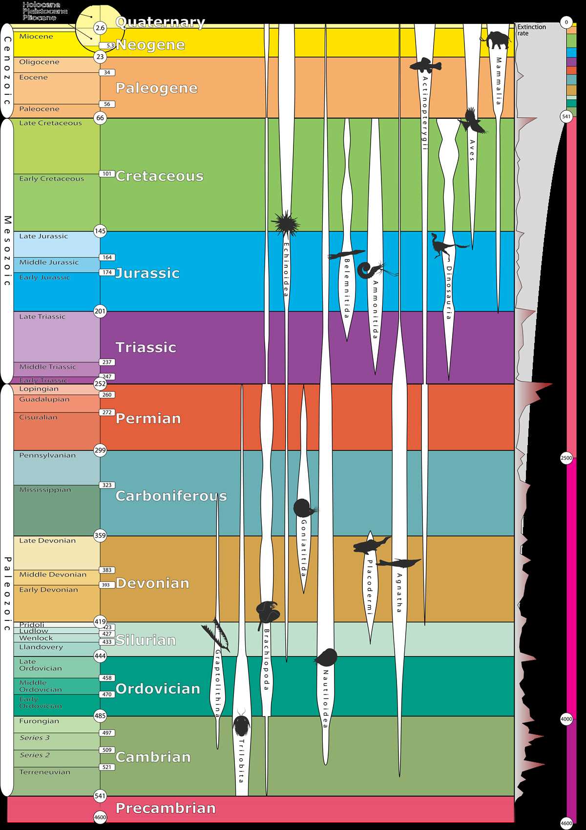 determining geologic ages answer key