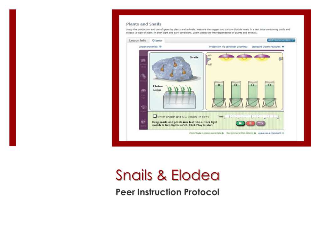 gizmo plants and snails answer key