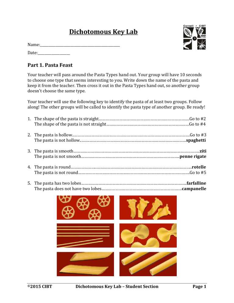 dichotomous key lab activity answers