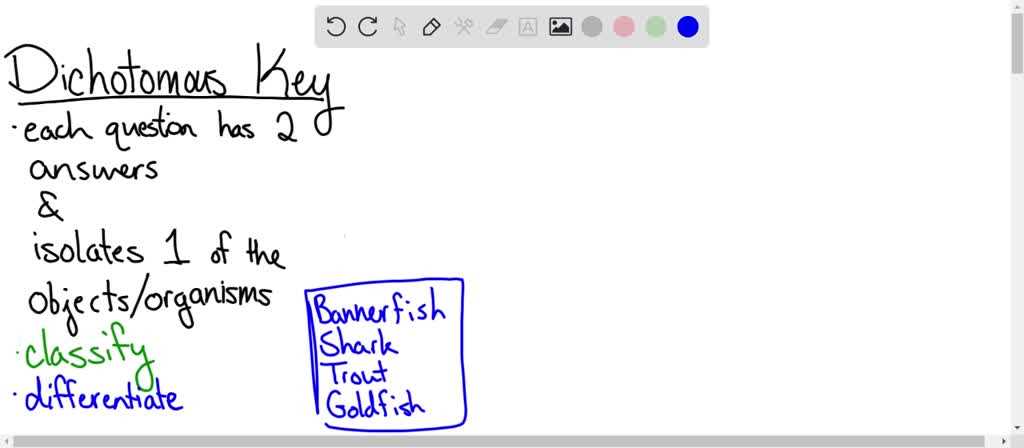 dichotomous key practice identifying bony fishes answer key dichotomous key practice identifying bony fishes answer key