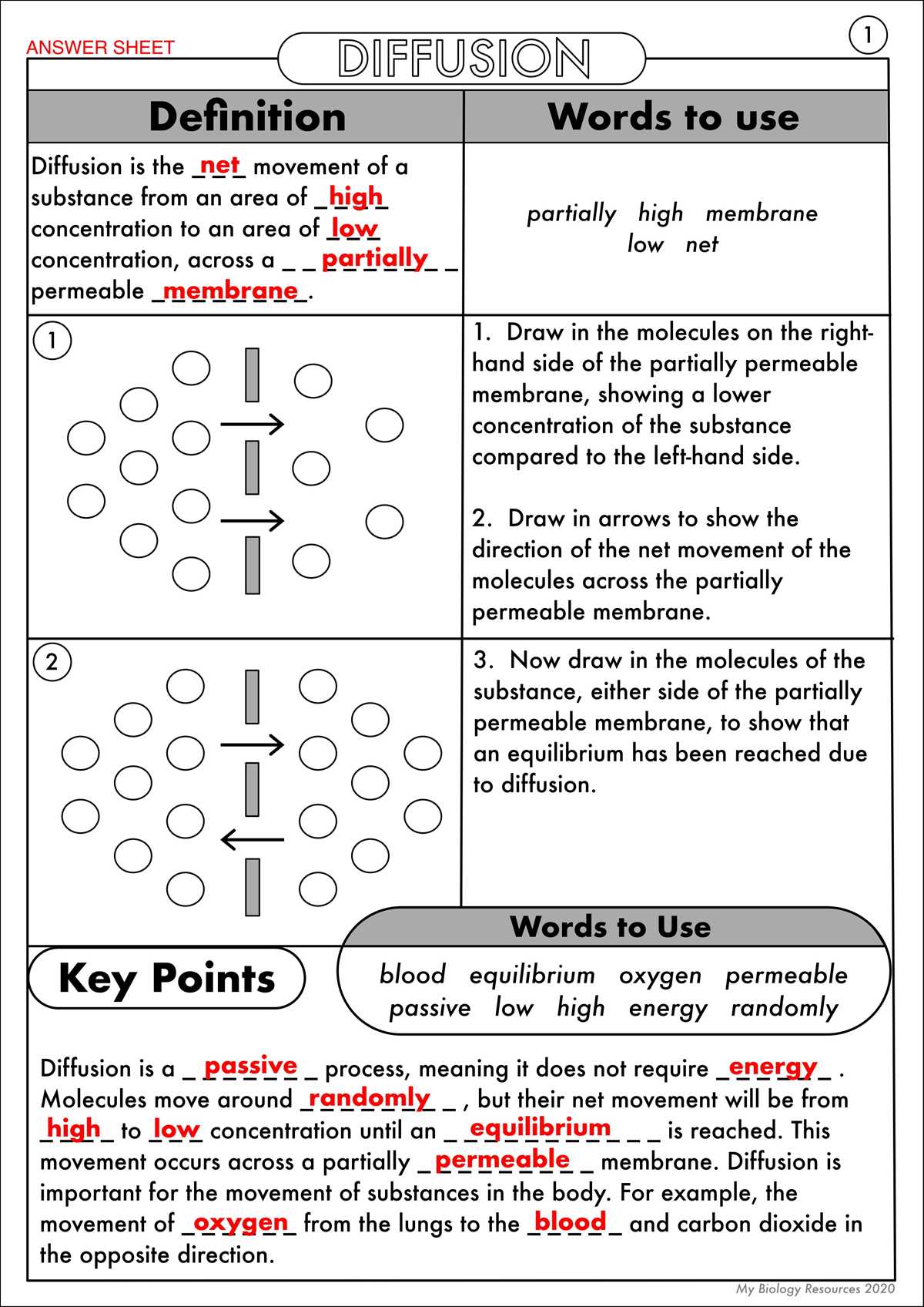 diffusion through a membrane answer key