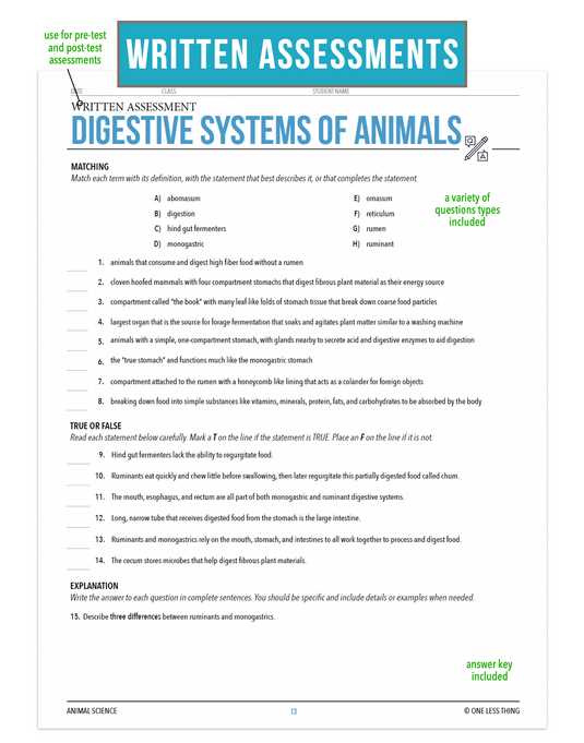 digestive system test answer key