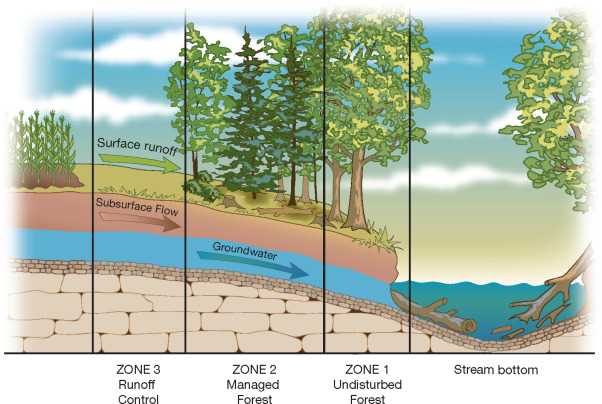 digging deeper riparian zones answer key digging deeper riparian zones answer key