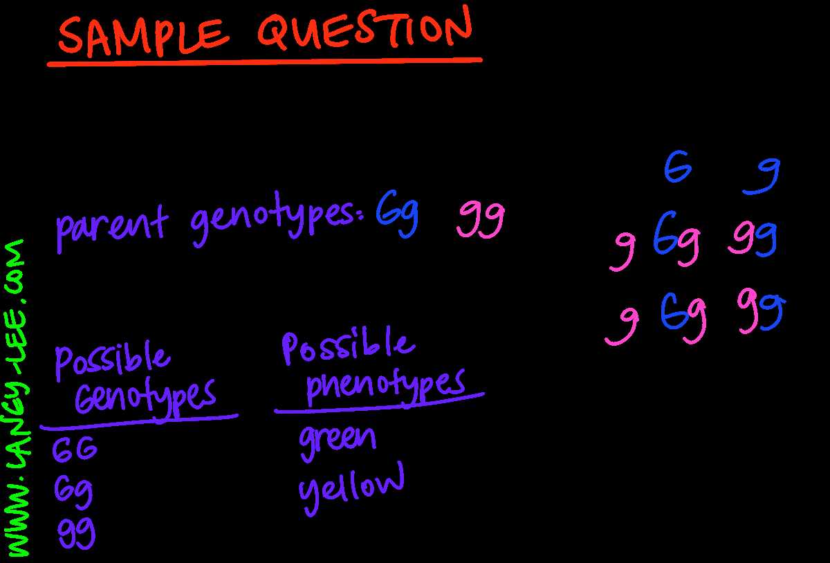 dihybrid punnett square practice problems problem a answer key