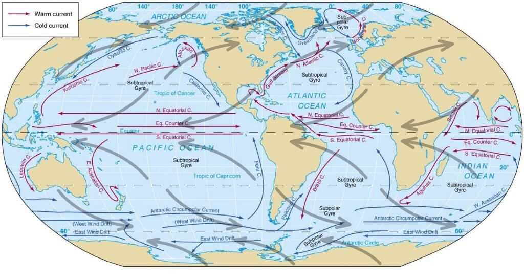 color by number ocean currents answer key