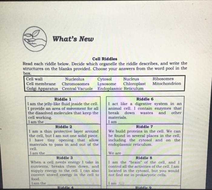 cell riddles life science answer key