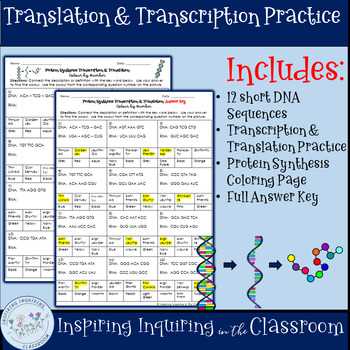 dna coloring   transcription & translation answer key